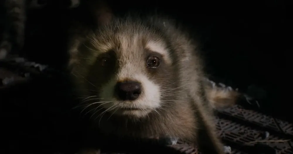 Guardians of the Galaxy: Quá khứ đau buồn của Rocket Raccoon trong MCU