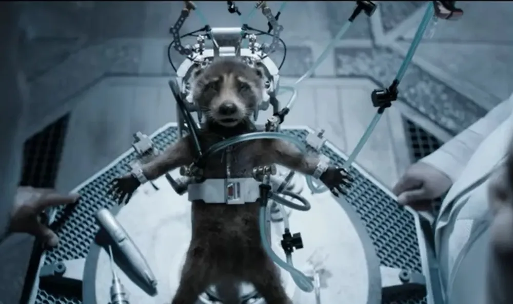 Guardians of the Galaxy: Quá khứ đau buồn của Rocket Raccoon trong MCU