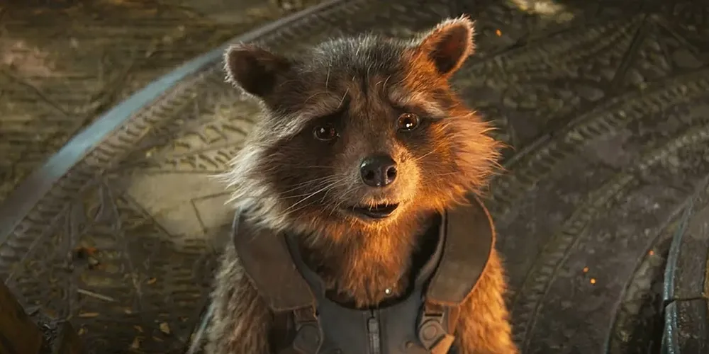 Guardians of the Galaxy: Quá khứ đau buồn của Rocket Raccoon trong MCU