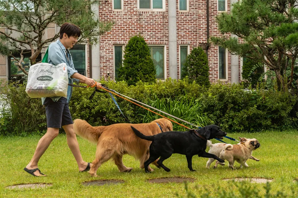 Tìm Nhà Cho Boss: Câu chuyện vui nhộn không chỉ dành cho hội “con sen”